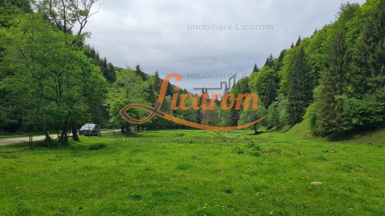 13005 mp teren faneata in Bran Simon cu fornt de 57 mp - Poză 7