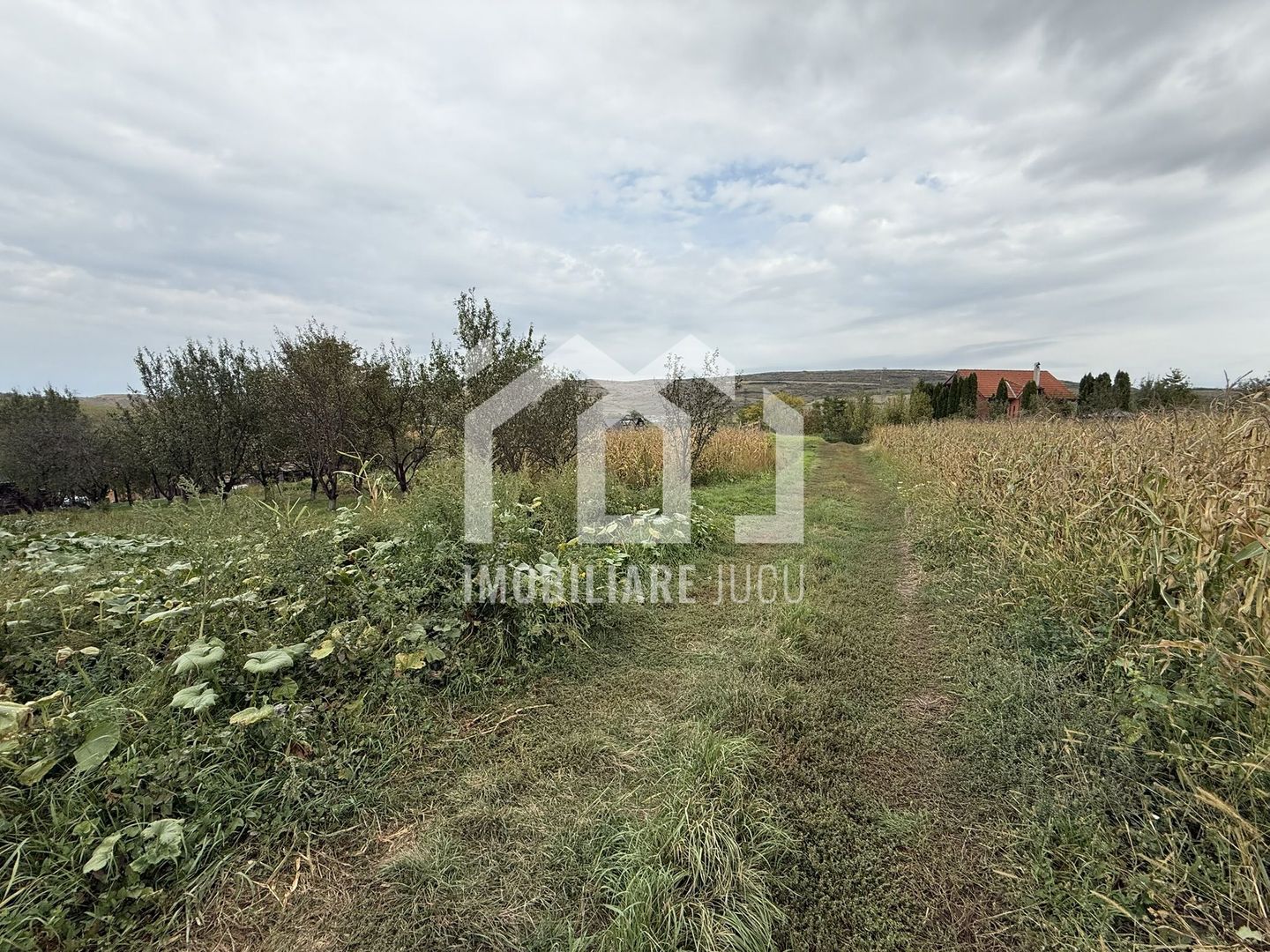 Teren construibil – 1.000 mp | Gădălin - Poză 4