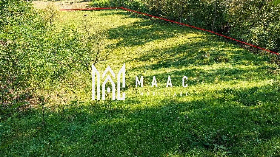 Teren | Intravilan | 2439 MPU | Fântânele - Poză 6