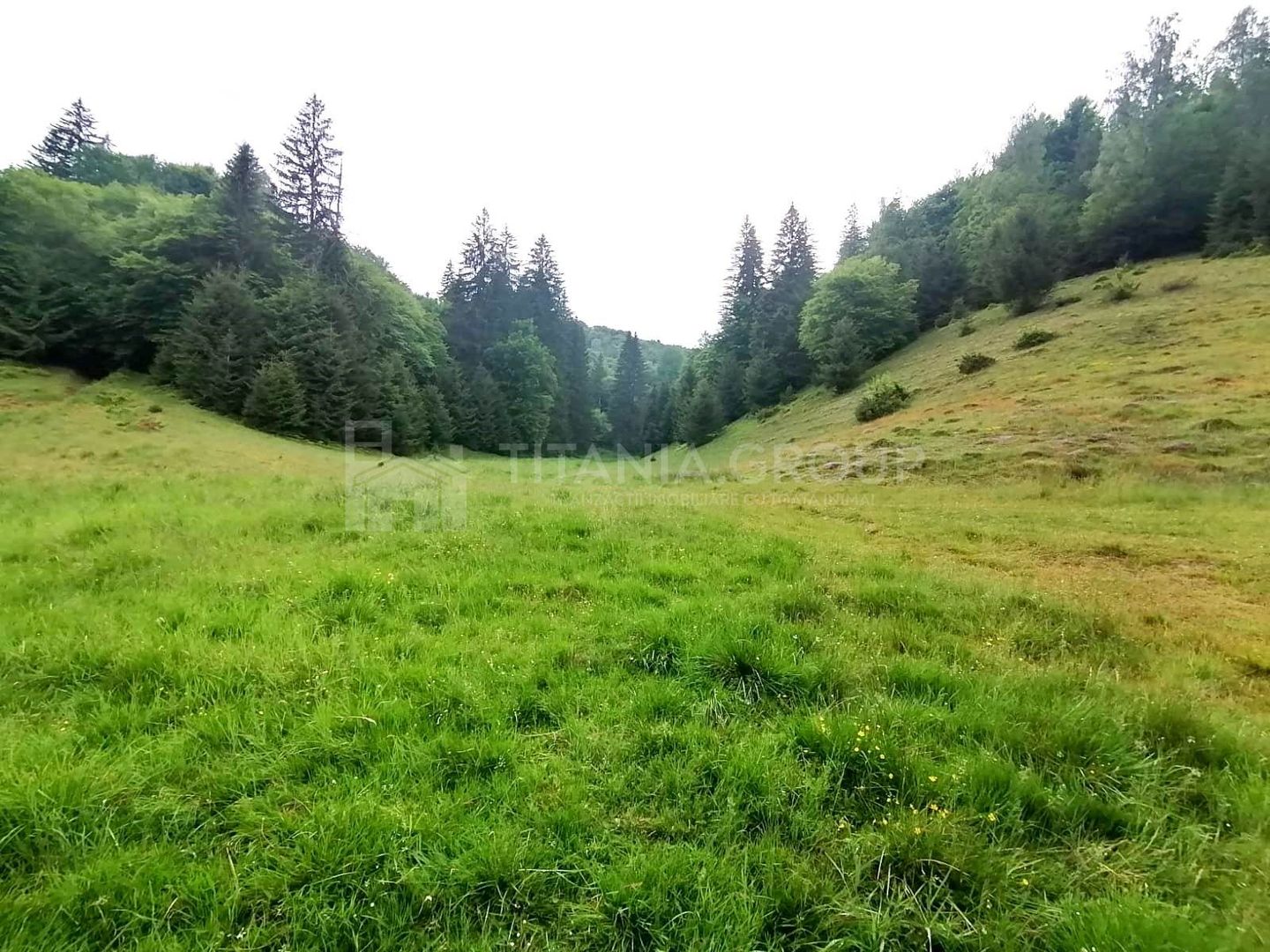 Teren intravilan langa Poiana Brașov, 52 mp front strdal, Utilitati in zona - Poză 8