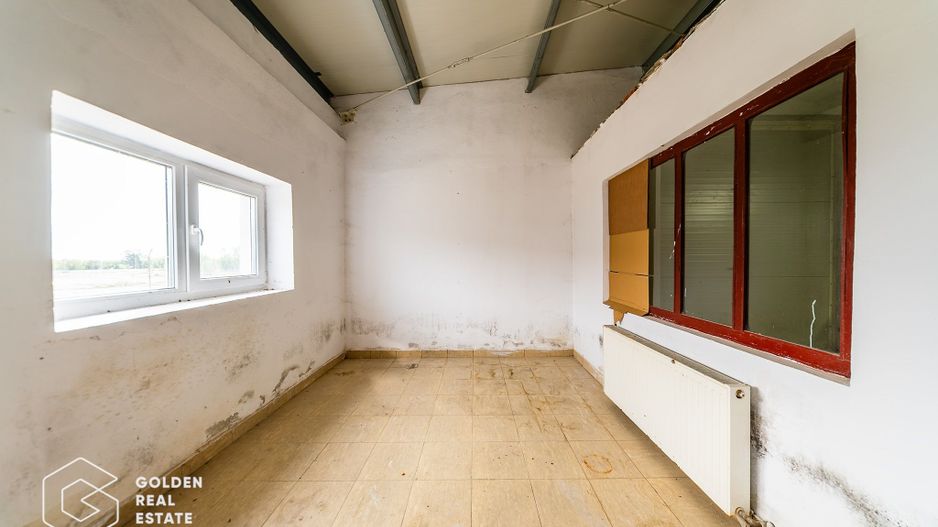 Hala industriala, Pecica, județul Arad - Poză 12