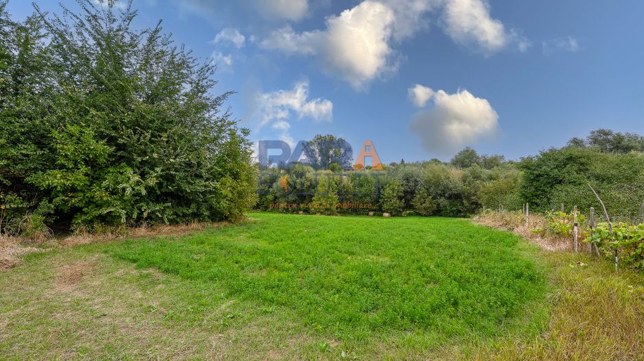 Casă interbelică + 3.060 mp intravilan, Trifești, 7,9 km de Roman - Poză 8