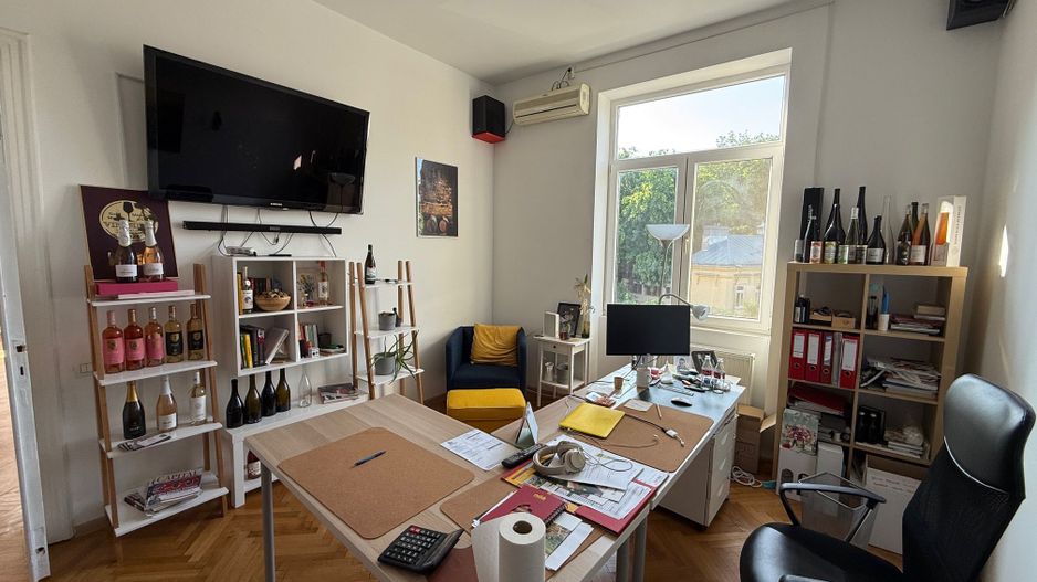 VILA LOCATIE UNICA GRADINA ICOANEI - Poză 8