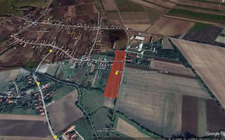 Sapient | Teren intravilan UAT Borș, Loc. Santaul Mare 19.100 mp - Poză 1