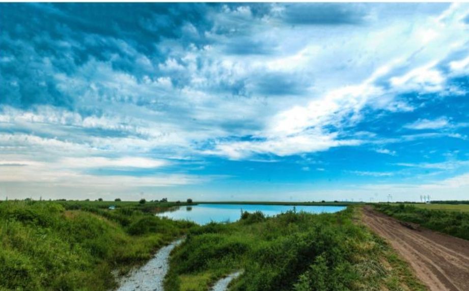 Teren intravilan in comuna Glina - Poză 4