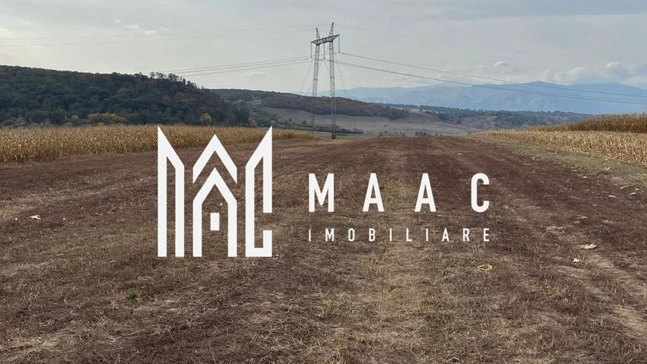 Teren extravilan de vânzare | Daia | 8.000 mp | agricol - Poză 3