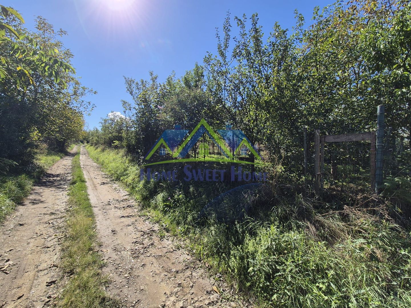 Teren intravilan în zona Lătureni – Buituri, în spatele casei nr. 100! - Poză 4