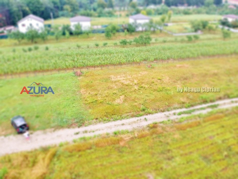 Vanzare Teren Racovita Intravilan - Poză 2