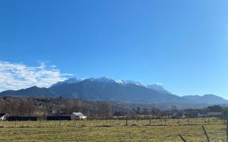 Teren Sohodol 10.000 mp - Poză 2