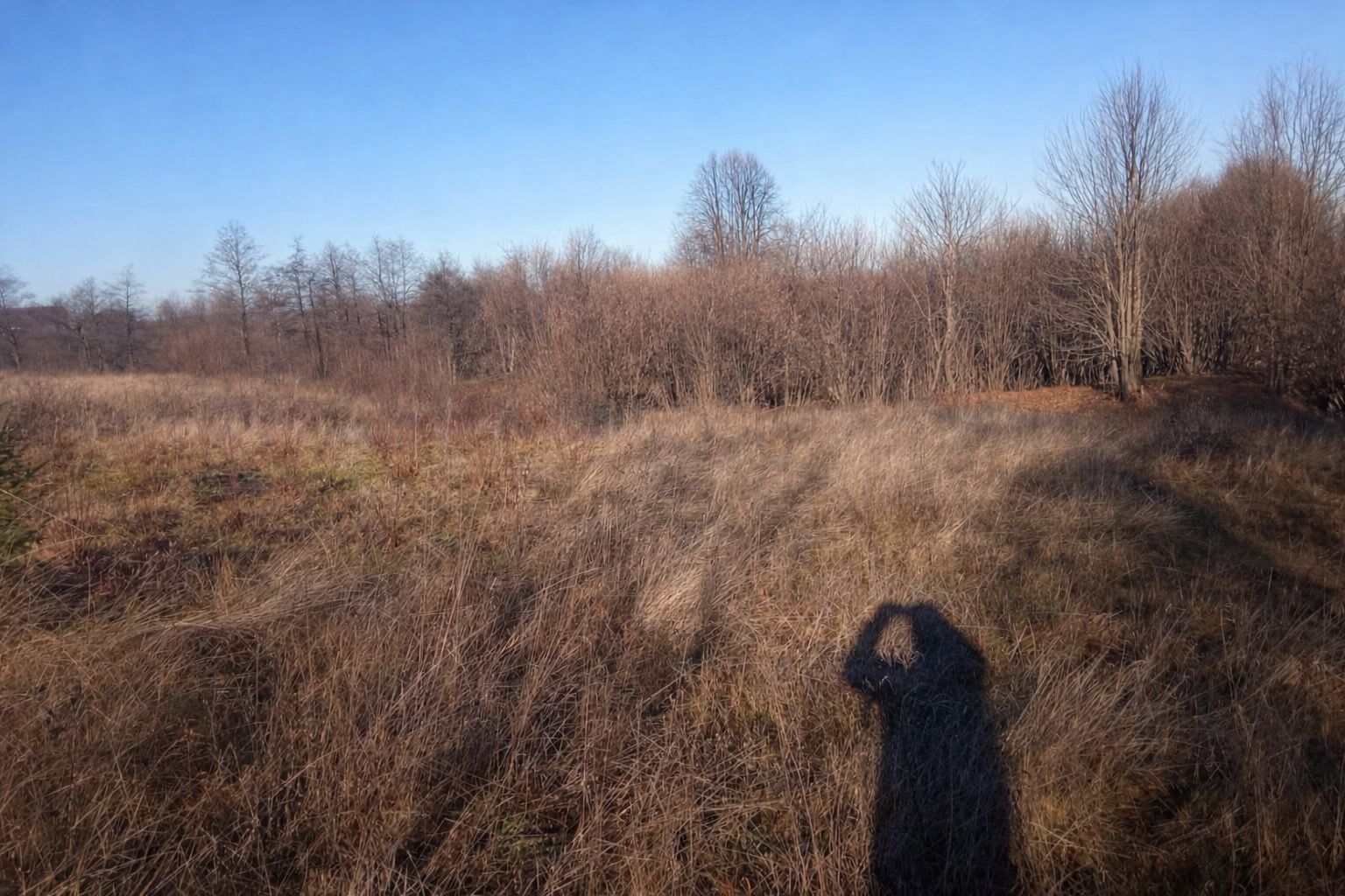 Teren extravilan | Vicovu de Jos | Preț 27.000 | Negociabil - Poză 2