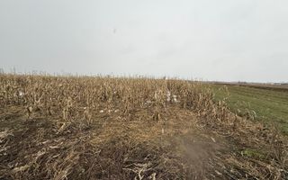 Teren extravilan | Gălănești | 7.276 mp | Front 29 m - Poză 2