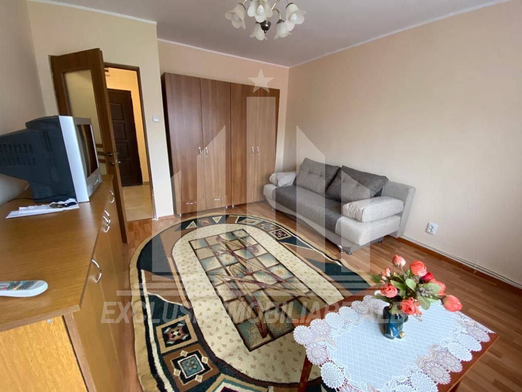 Apartament cu o camera in Cetate - Poză 1