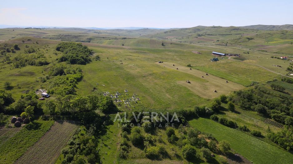 COMISION 0% - Teren constructii | 17 loturi | 900mp | Visea - Jucu - Poză 3