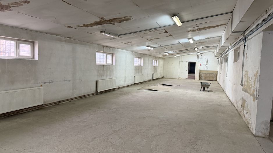 Hală industrială cu poziționare strategică în Giarmata - Poză 15