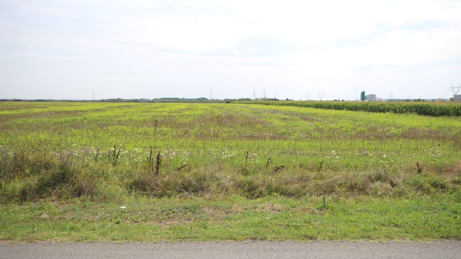 Terenuri  PUZ destinatie industriala 12.900 mp Centura de N - Poză 4