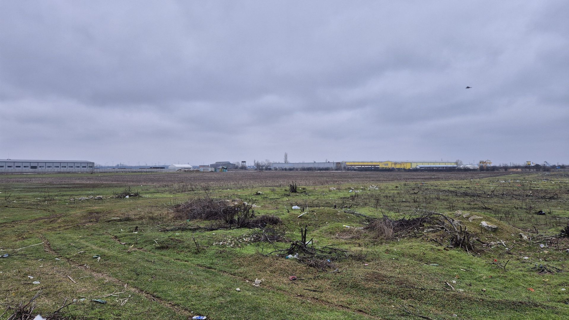 Teren intravilan 31497 mp - Chitila zona industriala de hale - Poză 1