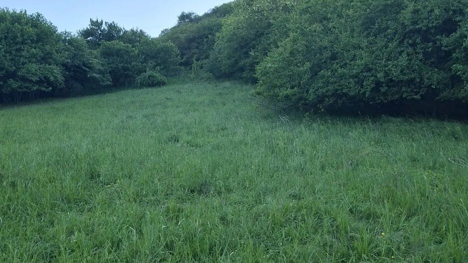 Teren de vanzare in Valcele - Poză 2