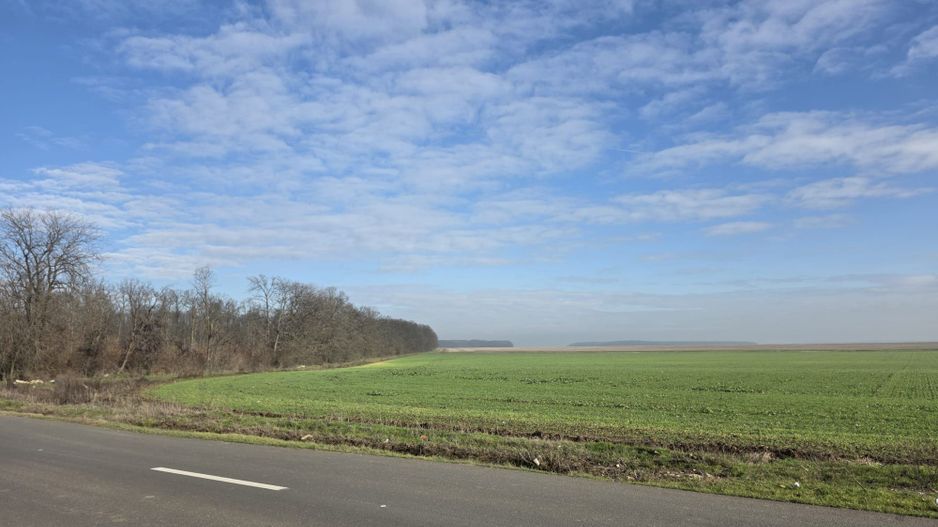 FUNDENi-Oportunitate Majoră de Investiție: 92 286mp - PRET IMBATABIL! - Poză 3