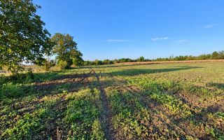 4,85 HA CU DESCHIDERE DE 300 M LA TRASEU | CRIULENI – SLOBOZIA-DUȘCA - Poză 6