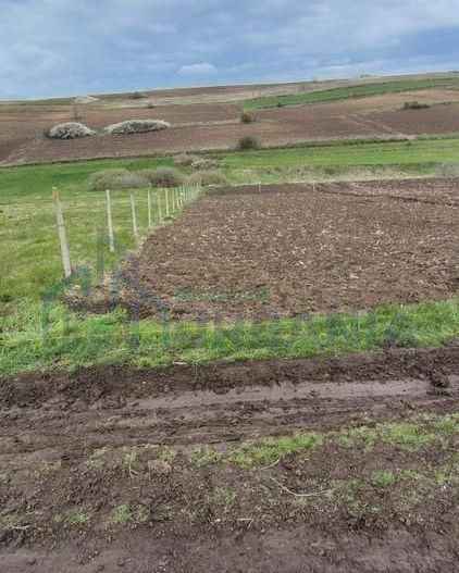 Teren intravilan de 900 mp în comuna Miroslava, sat Proselnici - Poză 2
