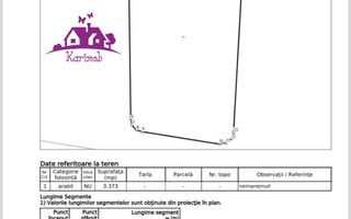 Teren industrial pentru hale - Poză 5