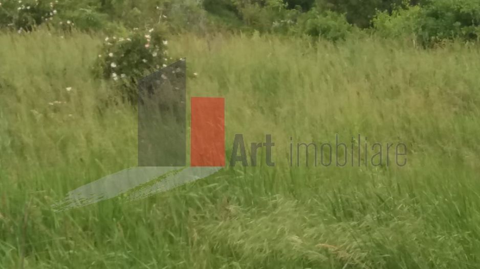 Teren Buftea cu iesire la lac - Poză 13