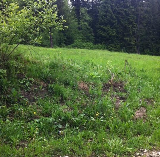 Teren intravilan Cotul Donului,pretabil Hotel/pensiune. - Poză 13