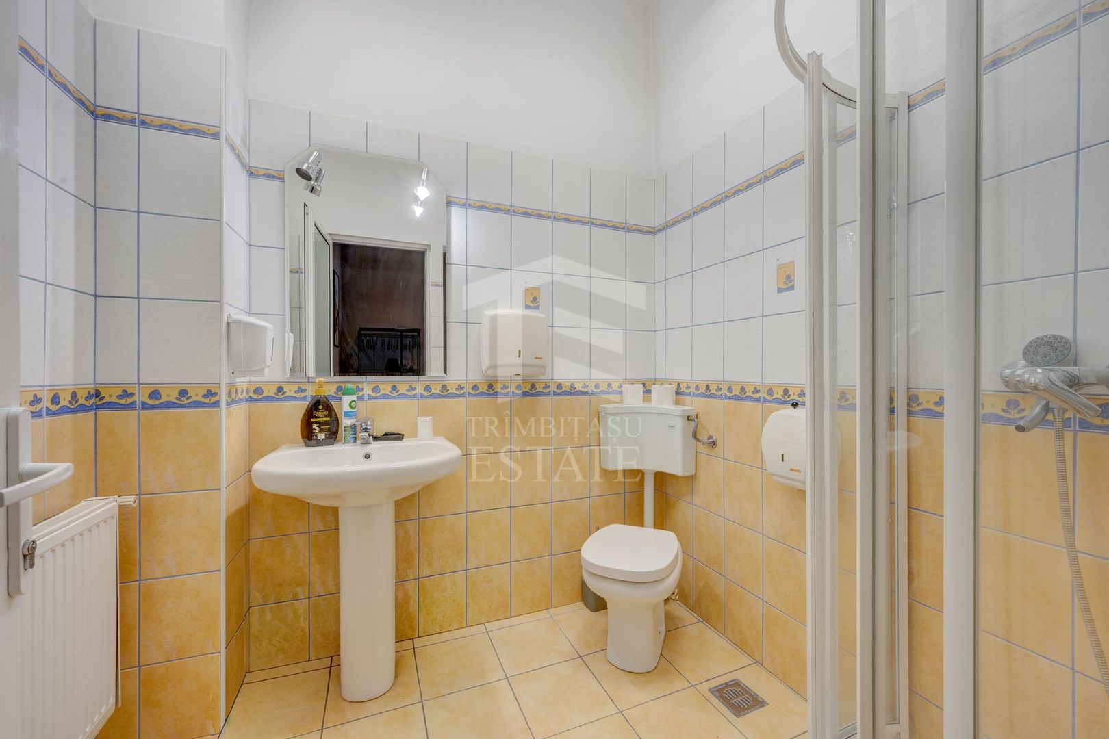 Cismigiu | Apartament 4 camere - Poză 17