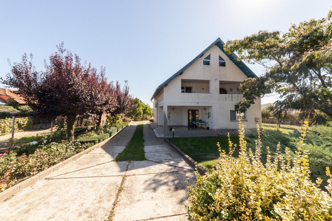 Casa visurilor cu 4000 mp livada roditoare si gradina Darmanesti-Arges - Poză 24
