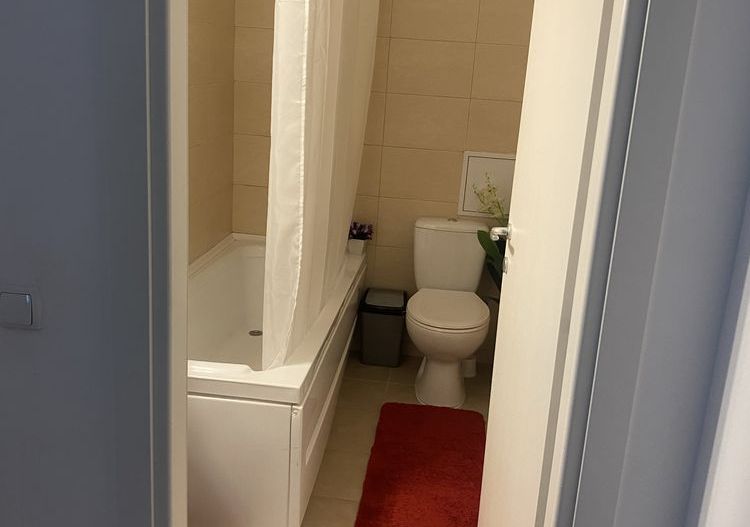 Apartament 2 camere premium de inchiriat zona Pantelimon - Poză 5
