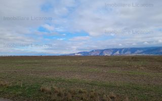 Teren Agricol 2,9 HA,intre Cristian si Vulcan/teren SPORT - Poză 5