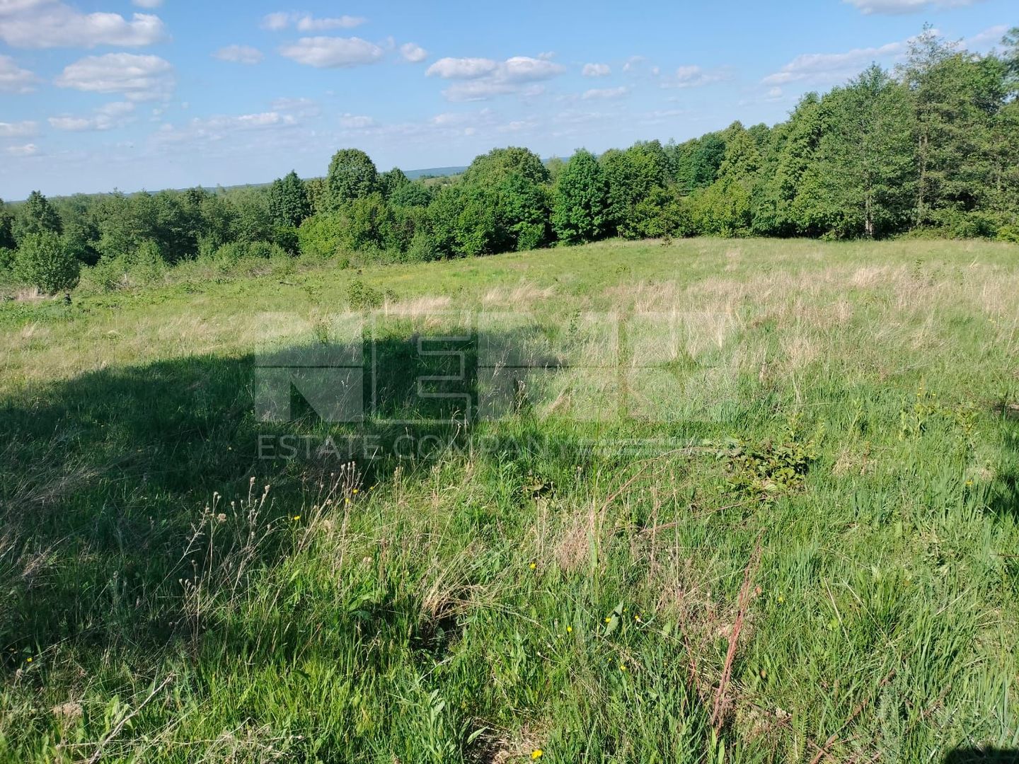 Teren extravilan | Vicovu de Jos | Preț 21.000 - Poză 3