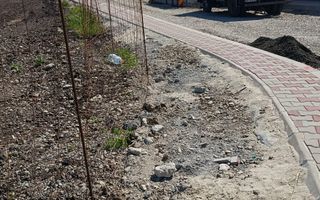 Bragadiru Penny Plevnei - Poză 1
