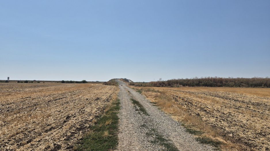 Teren intravilan 4428 mp - Balotesti - Poză 4