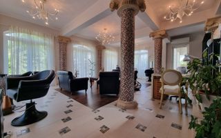 INCHIRIERE -2 VILE -ZONA MOGOSOAIA - Poză 5