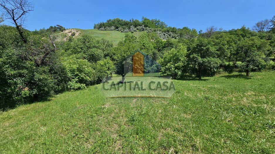 Teren de Vanzare in Plopu - Darmanesti, cu toate utilitatile - Poză 5