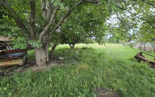 Casa 4 camere 2487 mp teren Arpasu de Jos - Poză 21