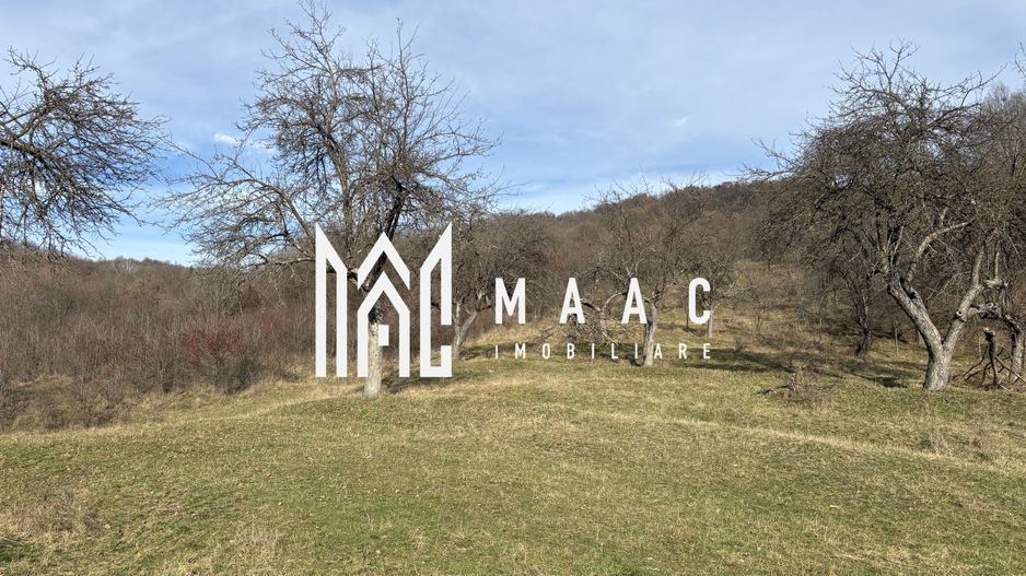 Teren  extravilan I 5300 mpI  Salatrucel -Calimanesti - Poză 2