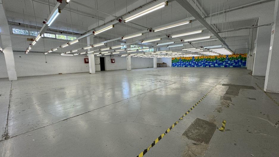 Hala productie P+1 si apartament de serviciu Navodari - c-tie beton - Poză 5