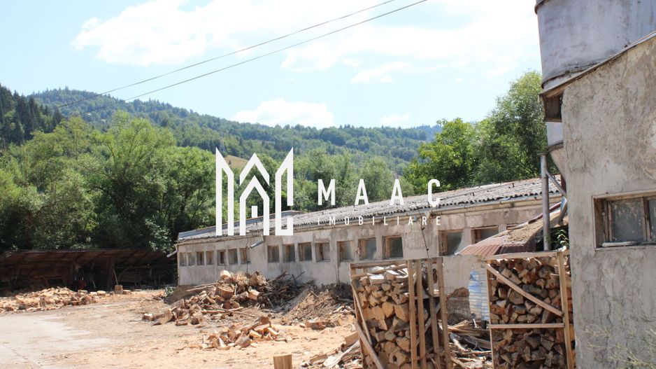 Fabrică de cherestea | Câmpeni | teren 8.000 mp - Poză 11