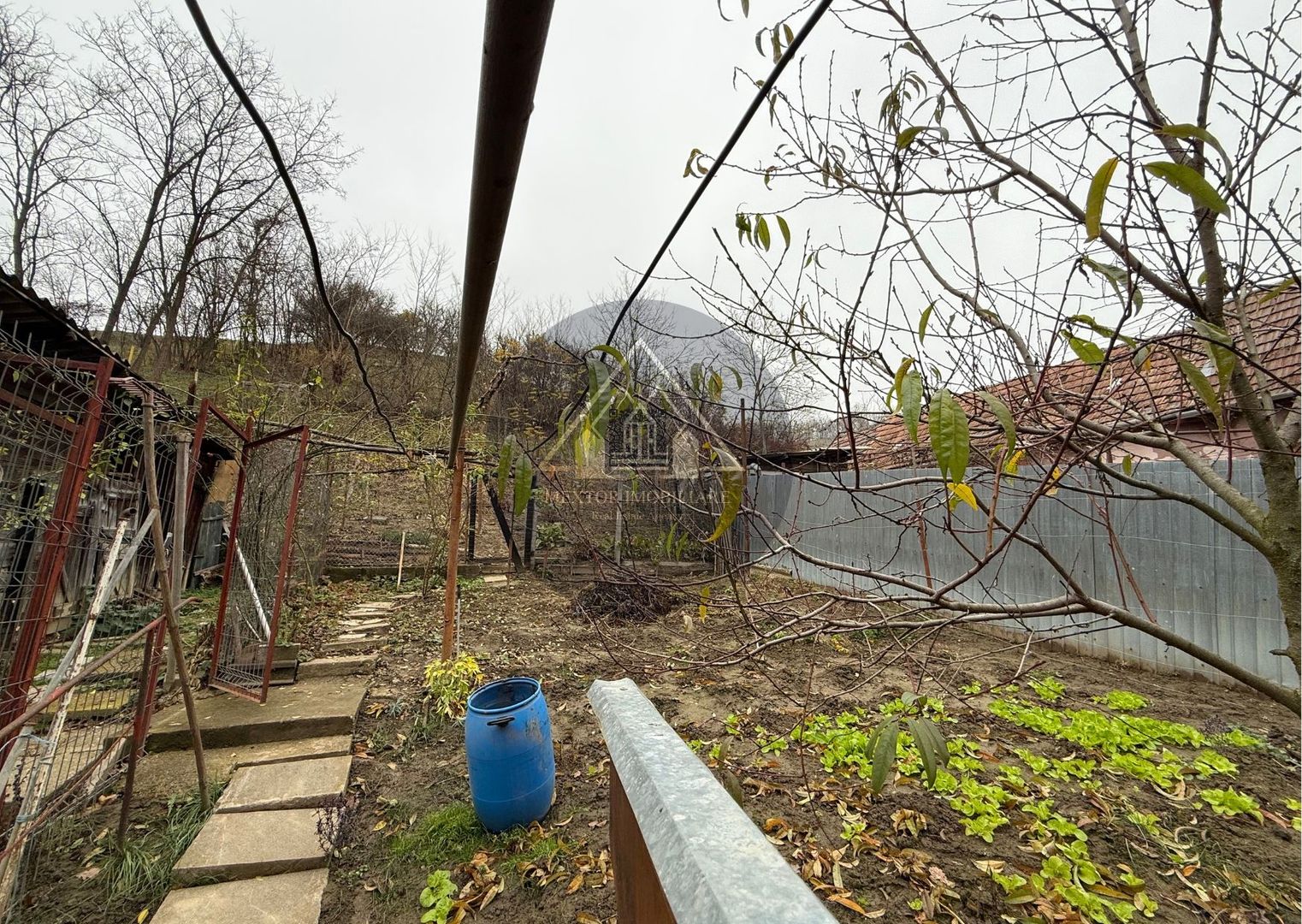 Casă 3 camere, Medias - Poză 12