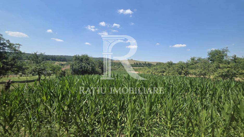 Casa de vânzare cu teren generos | Sumugiu | Bihor - Poză 32