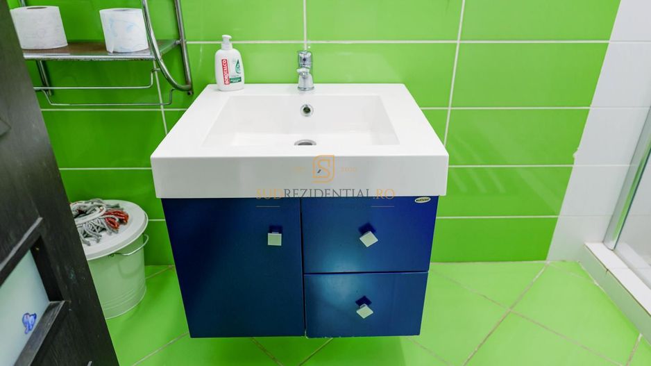 Vila individuala, P+1+M, 4 camere, Parcul Carol, Eroii Revolutiei - Poză 17