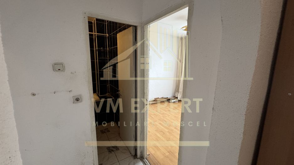 APARTAMENT 2 CAMERE PARTER VISOI CAMPULUNG - Poză 7