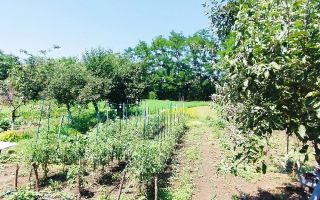 Casă de vânzare, zona Al. I. Cuza, Iași - Poză 6