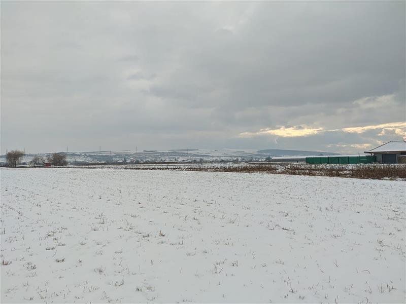 Teren intravilan, 6200 mp, Jucu de Mijloc - Poză 3