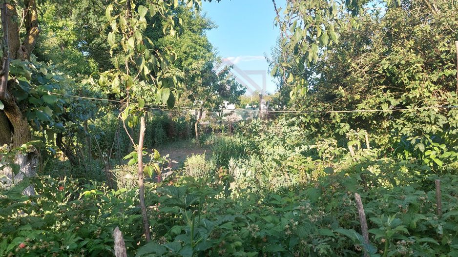 CASĂ 5 CAMERE\ OȚELU-ROȘU\ZONA CIREȘA \ COMISION 0% - Poză 22