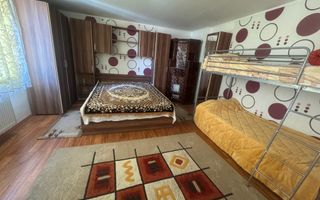 Proprietate deosebita in Filiasi - Poză 8