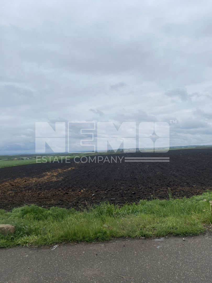 Teren Extravilan | Dornesti | 14.100 Mp - Poză 4