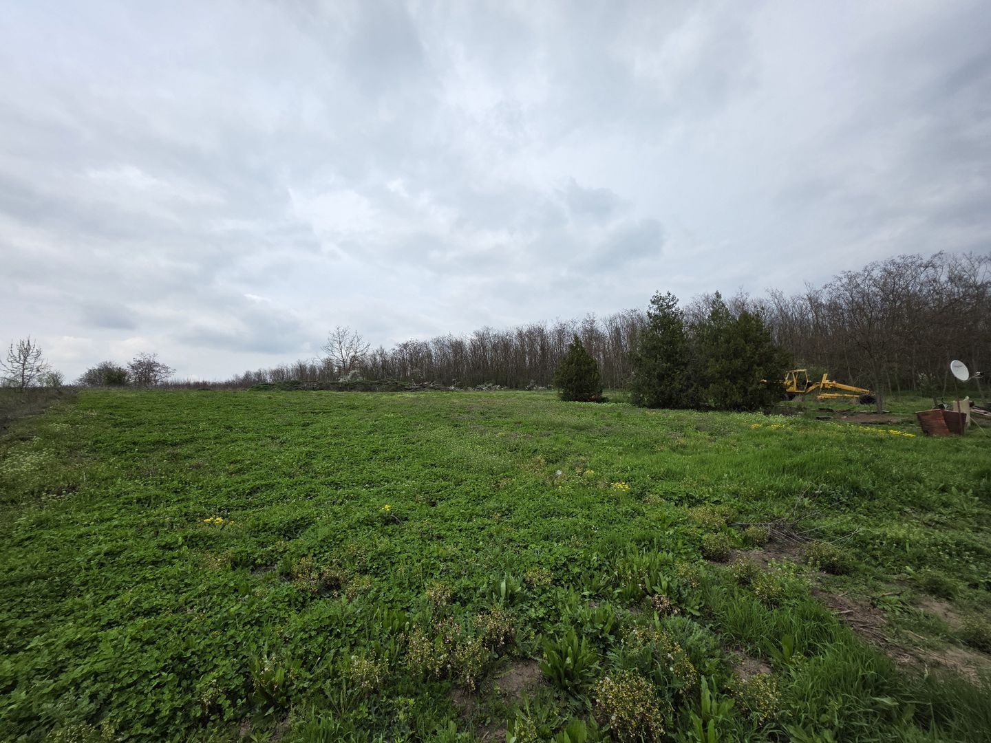 Balta pescuit, peisaj de vis,  padure-lac, investitie garantata - Poză 5